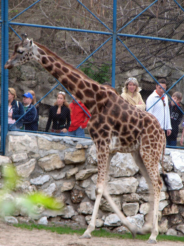 Zoo 354