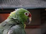 IMG_0804