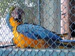 IMG_0831