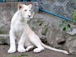 Zoo 348