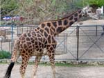 Zoo 349